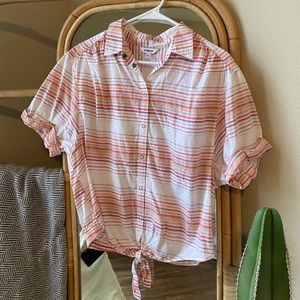 Express Short Sleeve Collared Crop